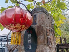 -周口店坡峰岭风景区