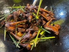 -一煲鸽