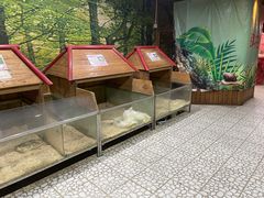 -上海大自然野生昆虫馆