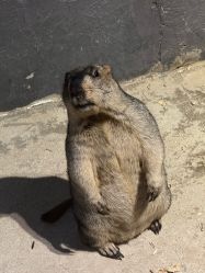 -酷嗒动物文化乐园(cutezoo西溪乐天城店)