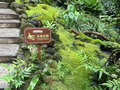 -深圳仙湖植物园