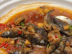 -上座云间·青年赣菜(绿茵店)