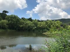 -溪口-滕头旅游景区