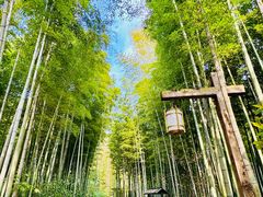 -天目湖御水温泉·度假酒店