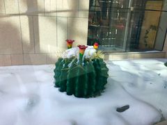 -乌鲁木齐环球国际大酒店