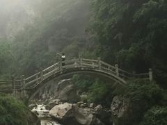 -陕西省红河谷森林公园