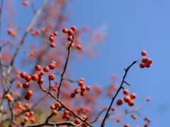 -老北门·苏帮菜·湖景包间(月光码头店)