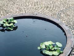 -前童古镇
