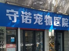 -守诺宠物医院·眼科· 特色牙科·异宠专科(虹口店)