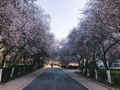 -山东师范大学(千佛山校区)
