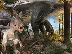 -湖南省地质博物馆