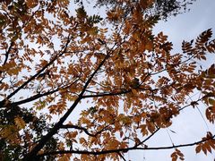 -玉渡山自然风景区