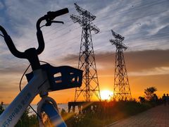 -宝安西湾红树林湿地公园