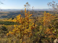 -帽儿山国家森林公园