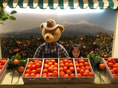 -济州岛泰迪熊博物馆