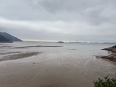-北岐滩涂