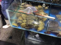 -四道口水产市场
