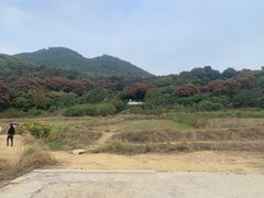 -清溪大王山森林公园