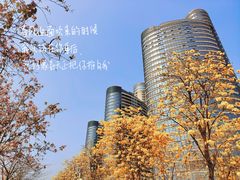 -洲头咀公园