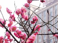 -望江楼公园