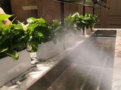 -仔耳朵冷锅鱼蛙芋儿鸡(莲花东路店)