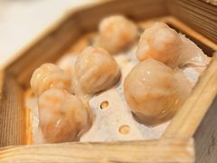 -顺德渔村·岭南一号