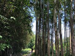 游乐设施-荔江湾景区