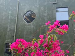 -深圳仙湖植物园