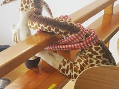 -长颈鹿咖啡(大学路店)