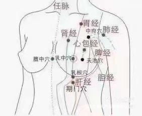 左乳12点位置图片图片