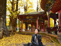 -华雅花园大酒店