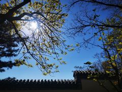 -刘公岛景区
