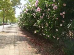 -安徽工业大学(秀山校区)