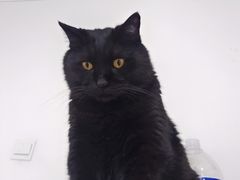 -芭比堂动物医院·CT·微创中心(新顺分院)