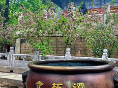 -潭柘寺景区
