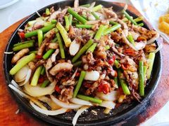 铁板鲜鱿鱼-鑫巴蜀小镇 · 水煮鱼专研店(玉桥店)