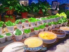 青菜-乔哥铭洋海鲜自助(皇城恒隆广场店)