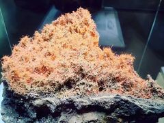 -湖南省地质博物馆