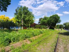 -永定河休闲森林公园