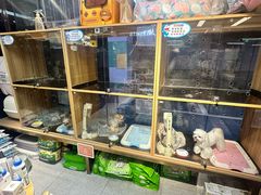 -FAELING PETS美天灵宠物(富力广场店)