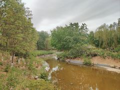 -大兴滨河森林公园