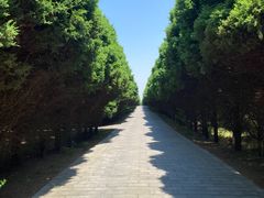 -秦始皇帝陵博物院-丽山园