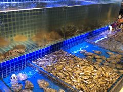 -必点海鲜·鲅鱼水饺(鞍山西道店)