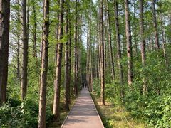 -同里国家湿地公园
