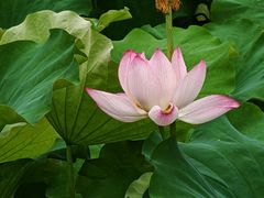 -丝绸小镇荻港古村