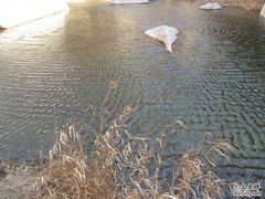 -碓臼峪自然风景区