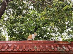 -方记炸酱面(三十年老字号)