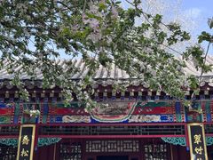 -赵州桥景区