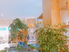 -志晖园圆子鸡·辣子鸡(阳光店)