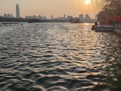 -济南大明湖景区